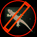 Lizard Pest Control