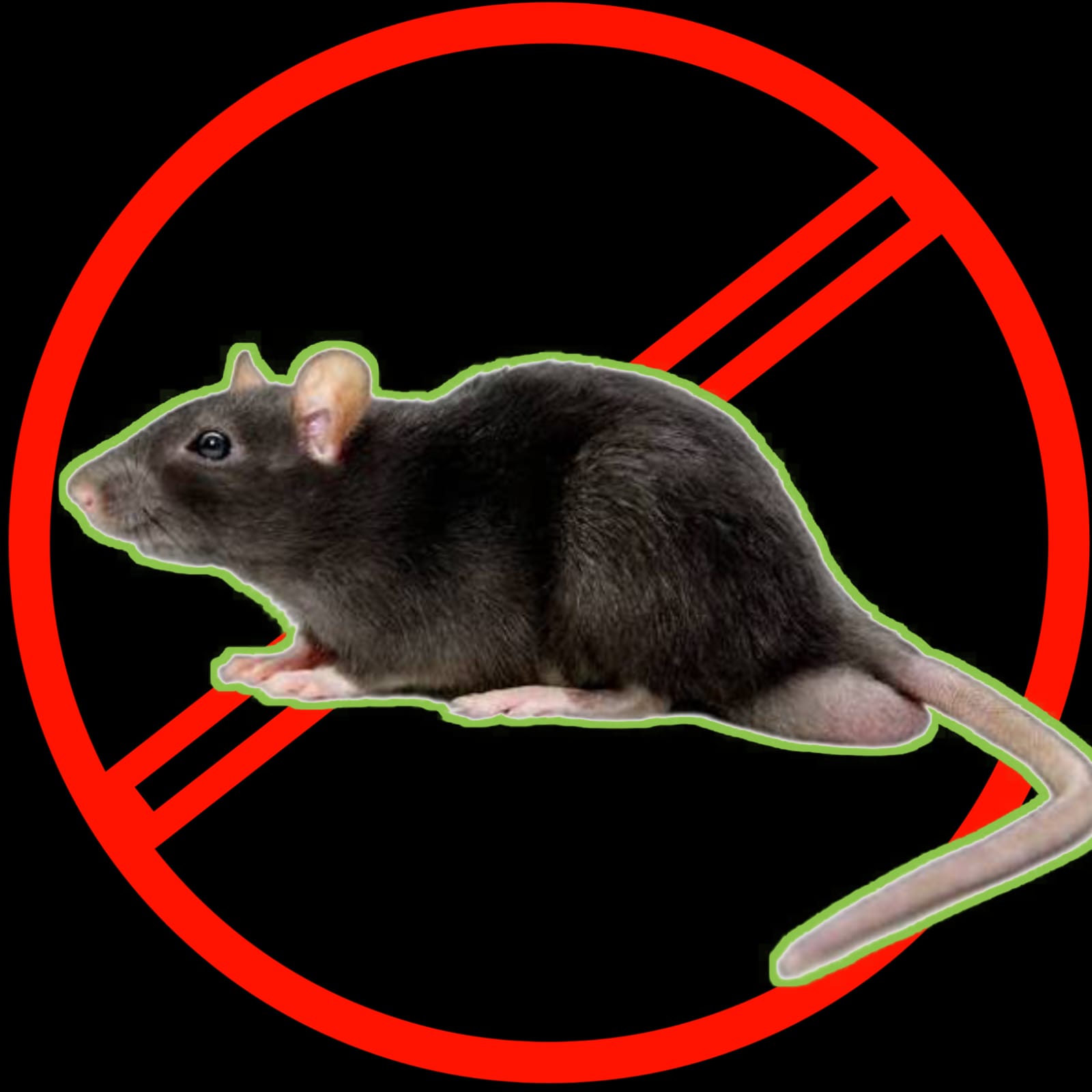 Rodent Control