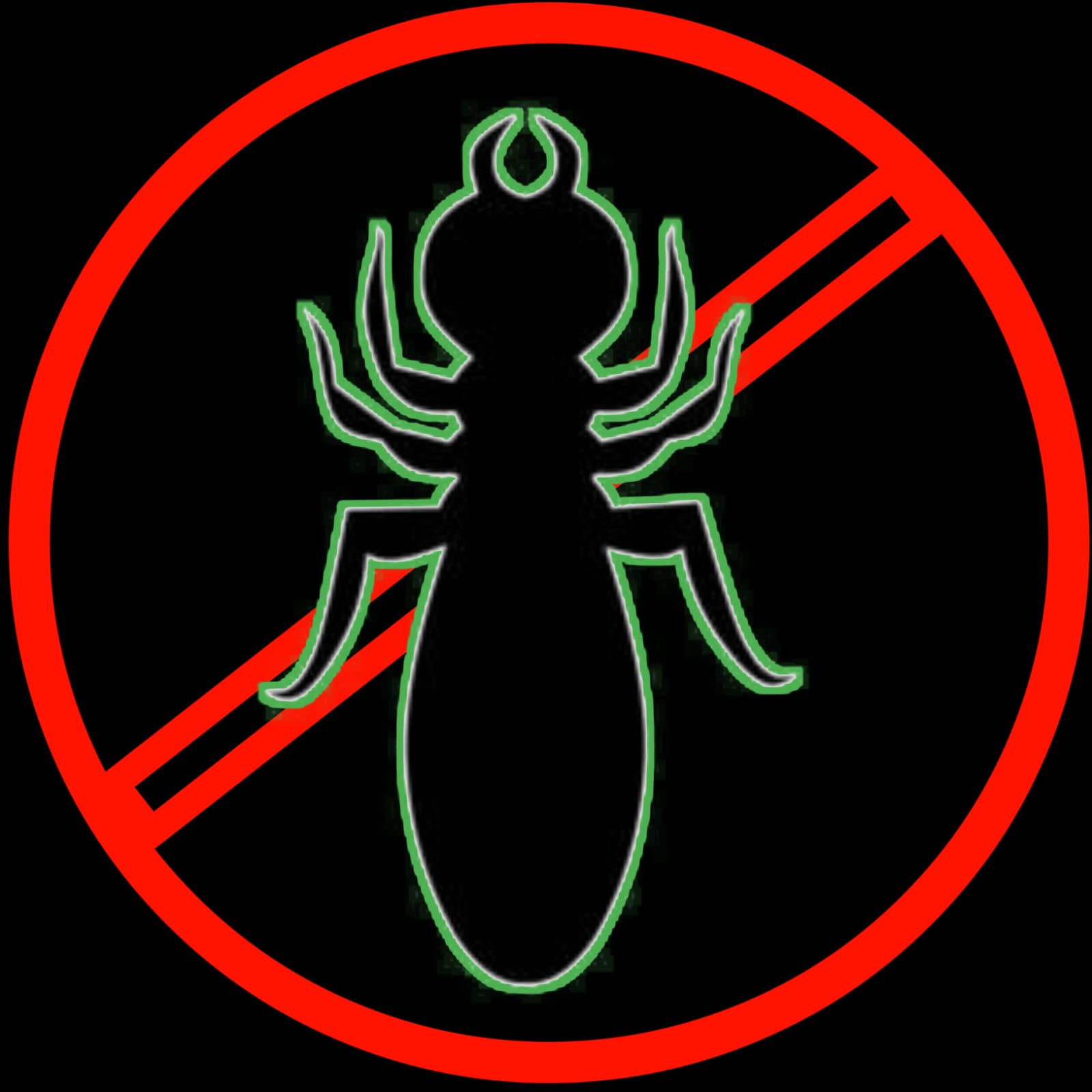 Termite Control