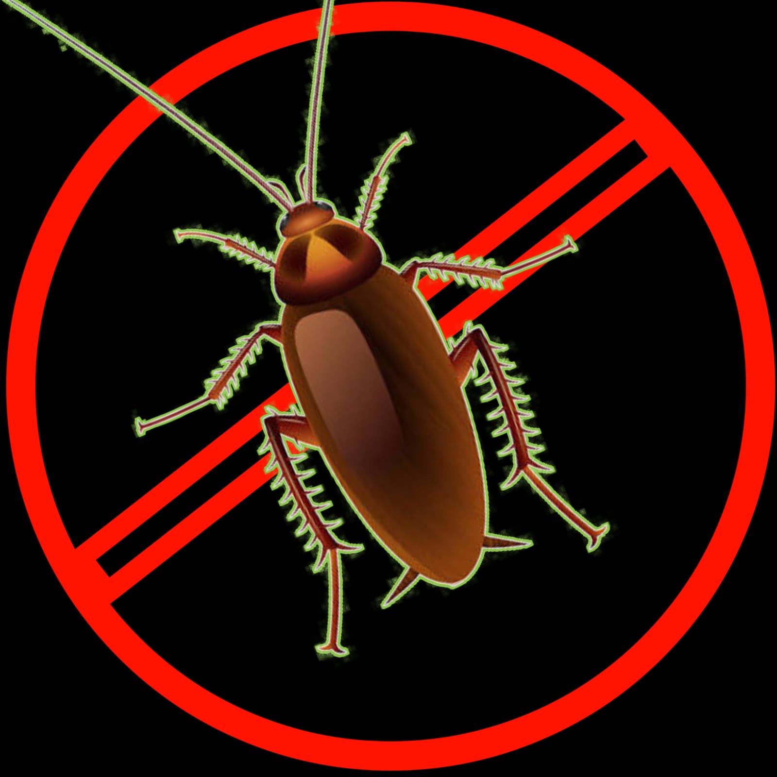 Cockroach Control