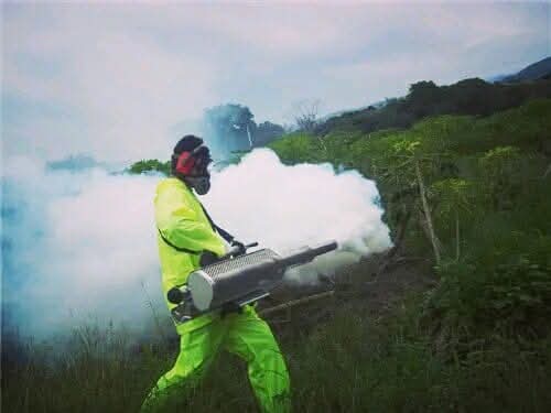 Fumigation work